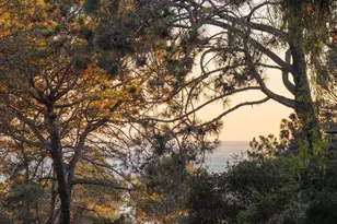 404 Pine Needles, Del Mar, CA 92014 - Photo 59