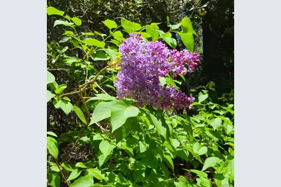  4470 Pine Ridge Avenue, Julian, CA 92036 - Photo 33