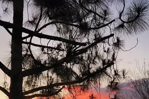 2617 Lobelia Rd, Alpine, CA 91901 - Photo 7