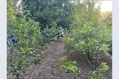  3958 Kenwood Dr, Spring Valley, CA 91977 - Photo 51