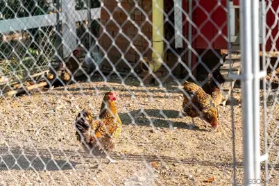  15091 Chemise Creek Rd, Ramona, CA 92065 - Photo 69