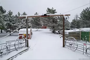 8203 Morris Ranch Rd, Mount Laguna, CA 91948 - Photo 21