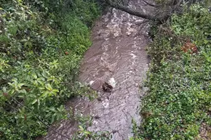 19360 Camino Vista Rd, Ramona, CA 92065 - Photo 23