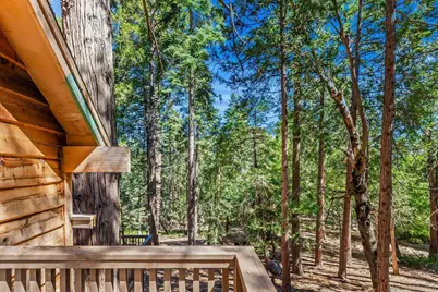  21838 Crestline Rd, Palomar Mountain, CA 92060 - Photo 29