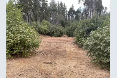  5930 Fickett Ln #1, Paradise, CA 95969 - Photo 3