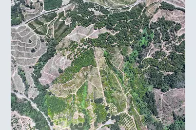  45711 Camaron Road, Temecula, CA 92590 - Photo 5