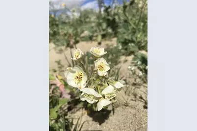  0 Town Center Christmas Circle, Borrego Springs, CA 92004 - Photo 15