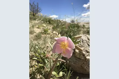  0 Town Center Christmas Circle, Borrego Springs, CA 92004 - Photo 17