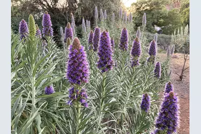  4744 Resmar Rd, La Mesa, CA 91941 - Photo 43