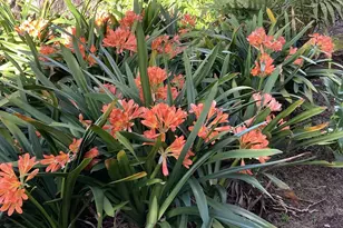 4744 Resmar Rd, La Mesa, CA 91941 - Photo 33