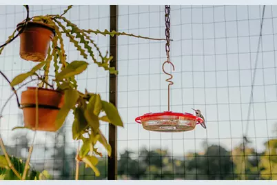  4744 Resmar Rd, La Mesa, CA 91941 - Photo 47