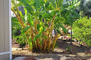 2907 S Santa Fe Ave, San Marcos, CA 92069 - Photo 3