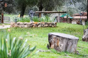 4026 Hwy 78, Julian, CA 92036 - Photo 43