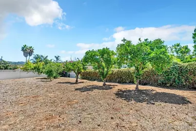  2345 Miller Ave, Escondido, CA 92029 - Photo 43