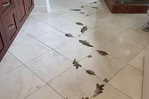 2176 Eastridge Loop, Oxnard, CA 93036 - Photo 23