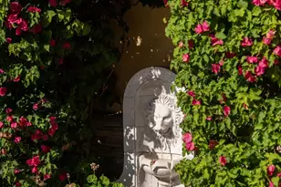 459 Flores De Oro, Rancho Santa Fe, CA 92067 - Photo 23