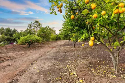  13570 Summit Cir., Poway, CA 92064 - Photo 35