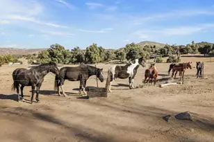 9018 Vernal Ln, Descanso, CA 91916 - Photo 53