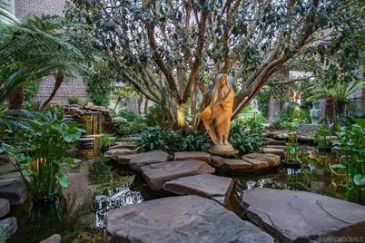  5893 Winland Hills Dr, Rancho Santa Fe, CA 92067 - Photo 9