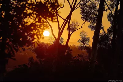  11464 Azucena Dr, San Diego, CA 92124 - Photo 39