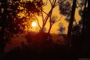 11464 Azucena Dr, San Diego, CA 92124 - Photo 39