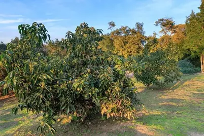  29059 Meadow Glen Way W, Escondido, CA 92026 - Photo 49