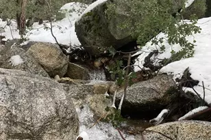 24655 Upper Rim Rock Rd, Idyllwild, CA 92549 - Photo 45