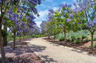 18245 Paseo Victoria, Rancho Santa Fe, CA 92067 - Photo 49