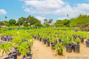 732 Hamilton Ln, Fallbrook, CA 92028 - Photo 29