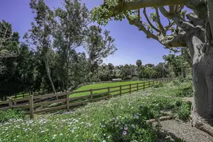 5305 La Crescenta, Rancho Santa Fe, CA 92067 - Photo 17