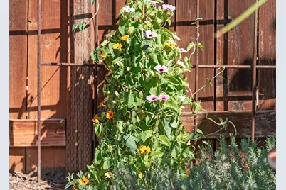  1322 Loma De Paz, Escondido, CA 92027 - Photo 59