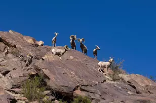 1668 Montezuma Ct, Borrego Springs, CA 92004 - Photo 73