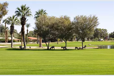  1668 Montezuma Ct #22, Borrego Springs, CA 92004 - Photo 75