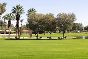 1668 Montezuma Ct, Borrego Springs, CA 92004 - Photo 75