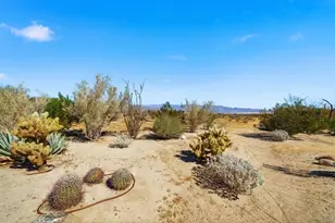 3277 Frying Pan Rd, Borrego Springs, CA 92004 - Photo 35