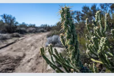  1400 Shasta Way, Boulevard, CA 91905 - Photo 29