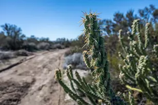 1400 Shasta Way, Boulevard, CA 91905 - Photo 29