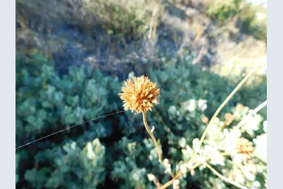  1.90 Ac Mountain View, Julian, CA 92036 - Photo 13