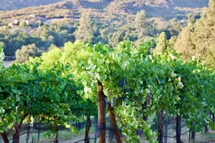 32800 Camino Ortega, Warner Springs, CA 92086 - Photo 45