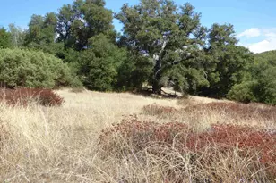 Engineers Rd, Julian, CA 92036 - Photo 5