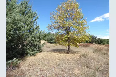  Engineers Road #N/K, Julian, CA 92036 - Photo 7