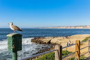 100 Coast, La Jolla, CA 92037 - Photo 49