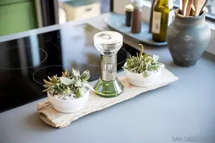 48311 Burns Canyon Rd, Pioneertown, CA 92268 - Photo 17