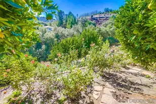 15731 Pauma Valley Dr, Pauma Valley, CA 92061 - Photo 59
