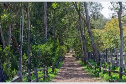  17177 Calle Serena, Rancho Santa Fe, CA 92067 - Photo 29