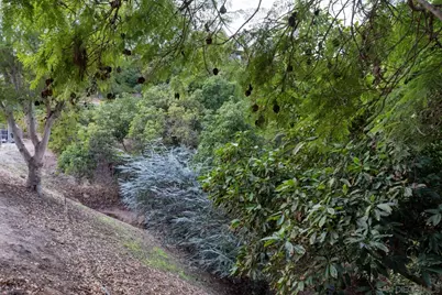  1609 Santa Margarita Drive, Fallbrook, CA 92028 - Photo 53