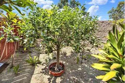  508 Dakota Way, Oceanside, CA 92056 - Photo 49