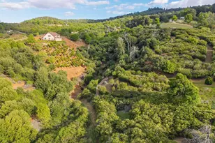 16913 Harrison Park Trail, Julian, CA 92036 - Photo 49