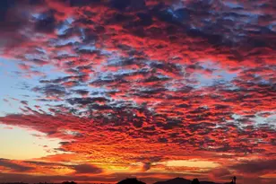 7948 Shalamar Dr, El Cajon, CA 92021 - Photo 25