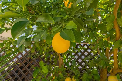  601 N Kirby St #246, Hemet, CA 92545 - Photo 63